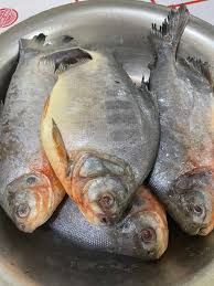 Owere Fish Pack, 1Kg