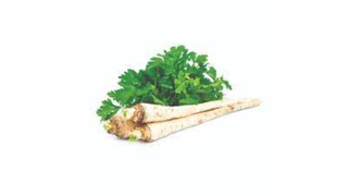 Peršun koren 1 kg