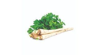Peršun koren 1 kg