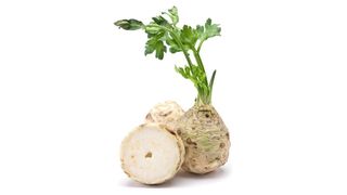 Celer koren 1 kg