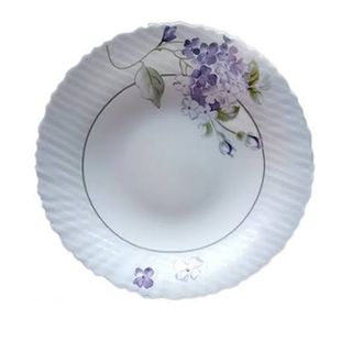 Lhsp95-5 Glass Plate