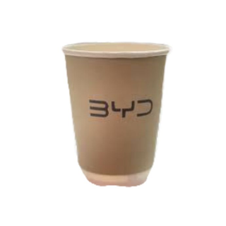 Byd-Cup-6013