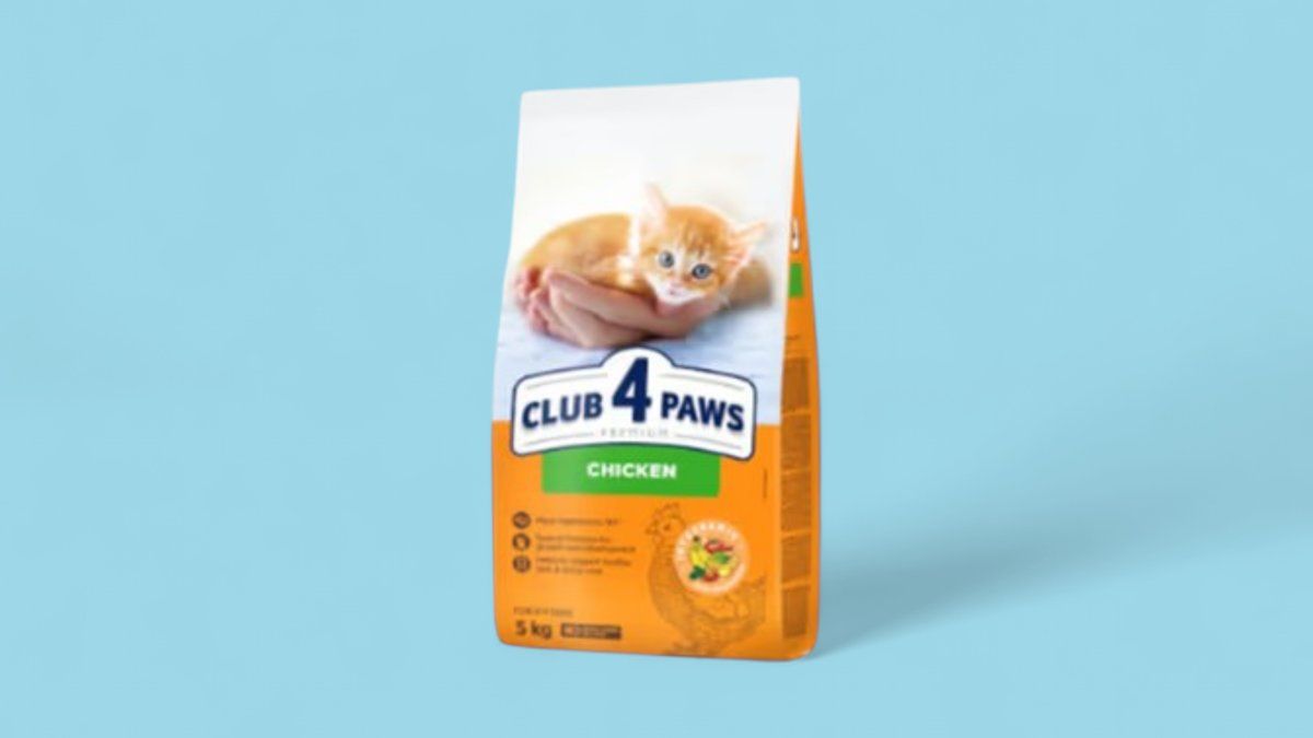 მშრალი საკვები კატის