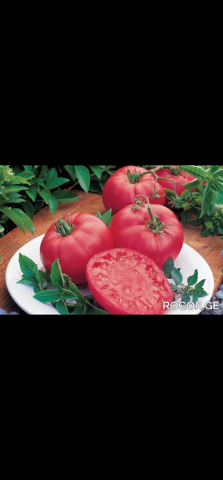 ვარდისფერი პომიდორი 500გრ