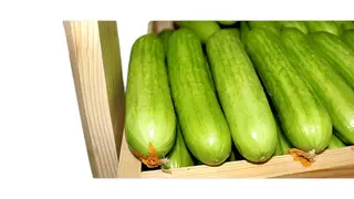 შუშა კიტრი ქართული 500გრ