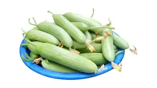 შუშა კიტრი 500გრ