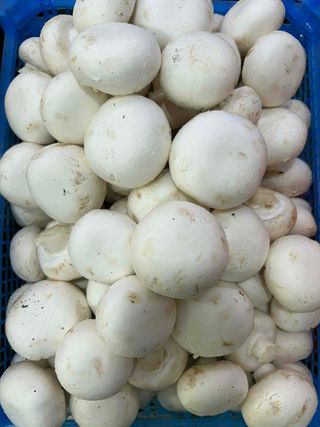 სოკო 500გრ
