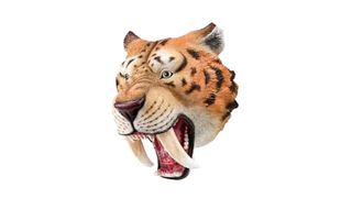 ვეფხვი (ხელზე გასაკეთებელი)
