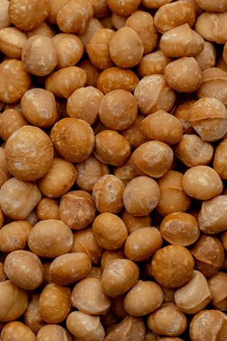 Macadamia salée 100g