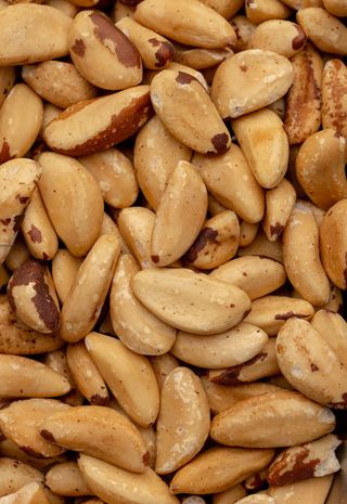 Noix de Brésil sans sel 100g