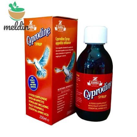 Zanza Cyprodine Syrup Appetite Enhancer, 200Ml