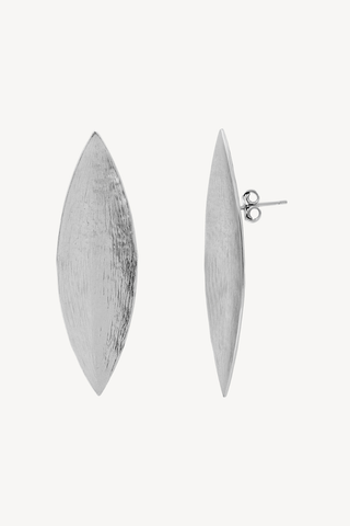 BERRY PENDIENTES PLATA