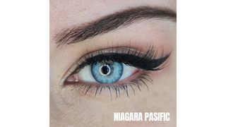 Fx Niagara Pasific