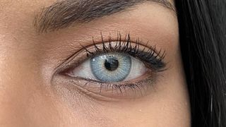 Fx Luna Blue
