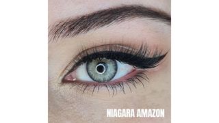 Fx Niagara Amazon
