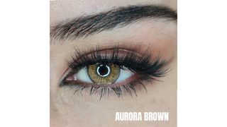 FX aurora Brown