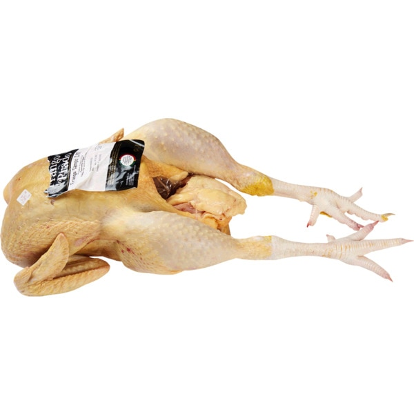 Aves e Coelho