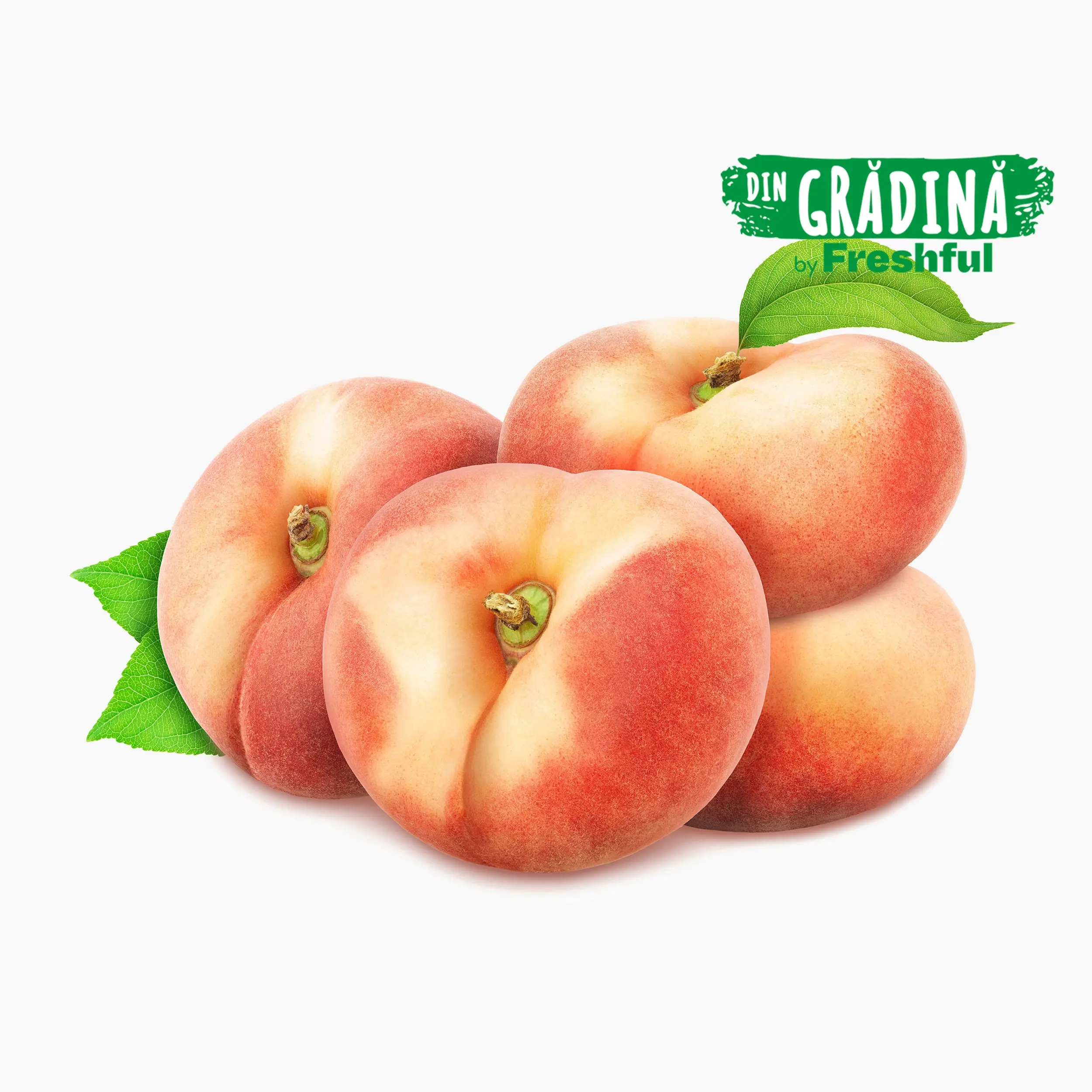 Fructe si legume Romanesti