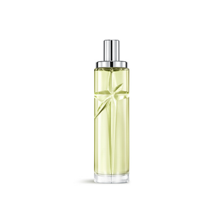 Starlicious Pistachio Praliné Eau Gourmande 75 Ml