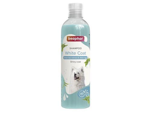 Higiene e Estética Cão