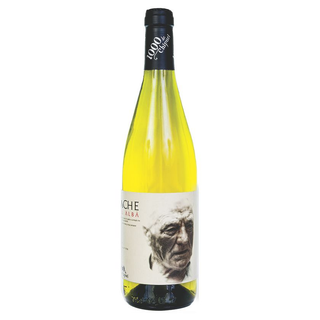 1000 Chipuri Iordache Feteasca Alba 0.75L