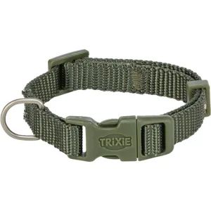 ძაღლის საყელოები და საბელები