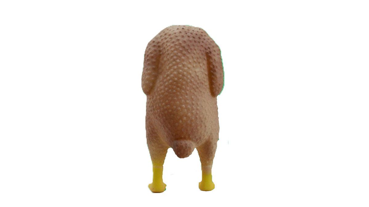 ცხოველების მოვლა