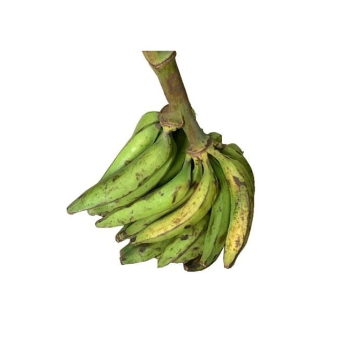 Unripe Plantain Big Bunch