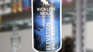 Elevation - Pale Ale