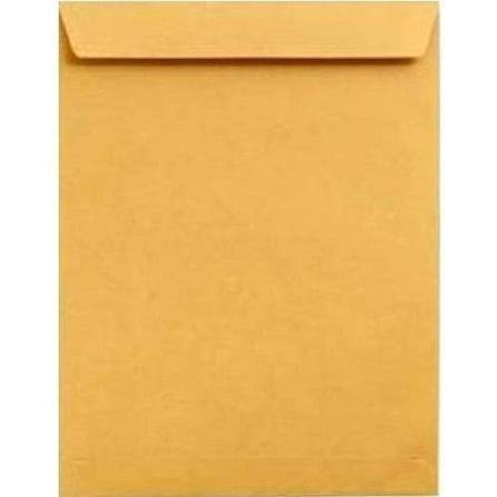 Brown Long Envelope