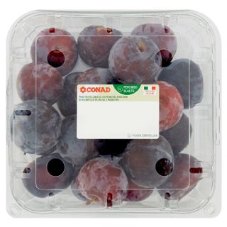 Susine Nere Cal 40/45 Cestino Kg 1 Conad Percorso Qualità Orgine Italia I Cat