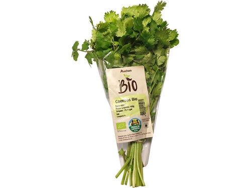 Ervas Aromáticas