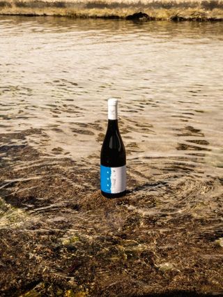 Aphor Grillo Tenuta Valso 75 cl