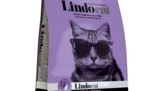 LINDOCAT Lavanda 5L - Sand Lindocat Lavender 5 lt