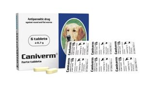 Caniverm 0.175 g puppy and kitten