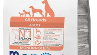 MONGE ALL BREEDS ADULT SALMON 1 kg