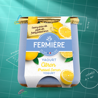 Offre YRT POT GRES CITRON 140G FERMI -100101322