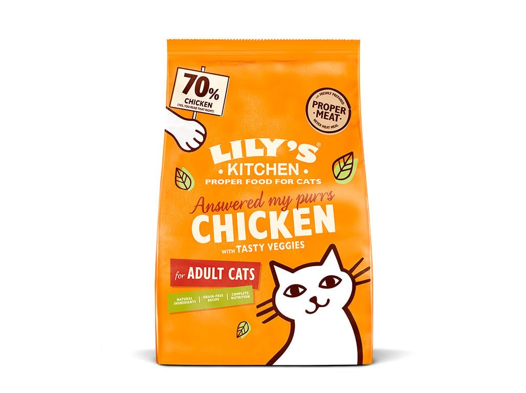 Ração Seca Gato