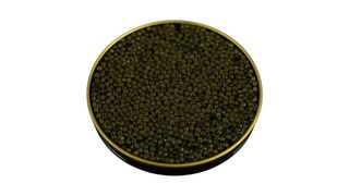 Czarny kawior z jesiotra premium - 50 g