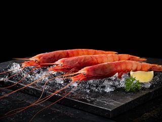 Gambero Rosso di Mazara - 800g