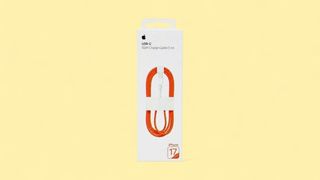 Iphone 17 pro max  Orange   USB-C to USB-C Cable,