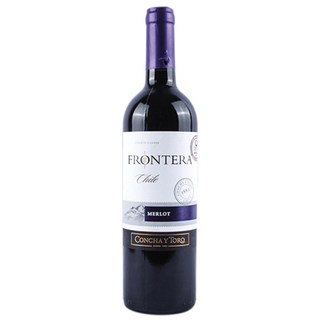 Vin Chili Merlot Frontera 202