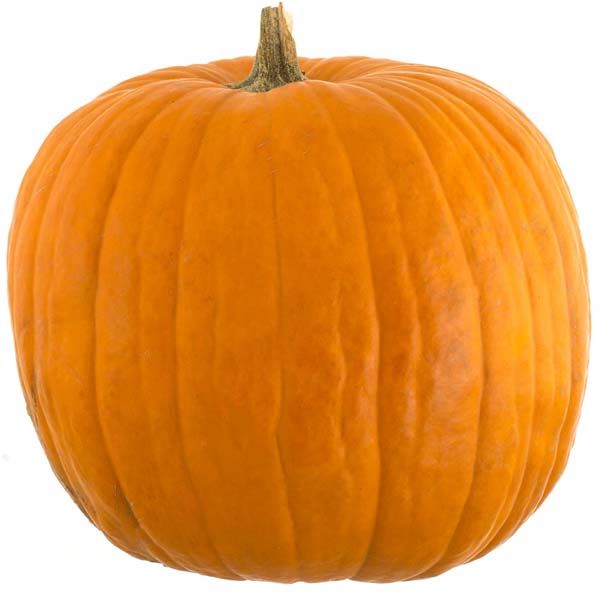 Dovleci🎃