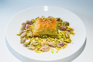 Diet/suha pistacija