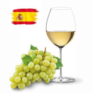 Вино "NAVA PARDA BLANCO" сухе біле 12% 0,5 л. (дана позиція відпускається на розлив у ПЕТ-тарі)