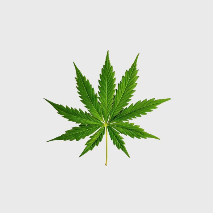 Herbals & Accessories