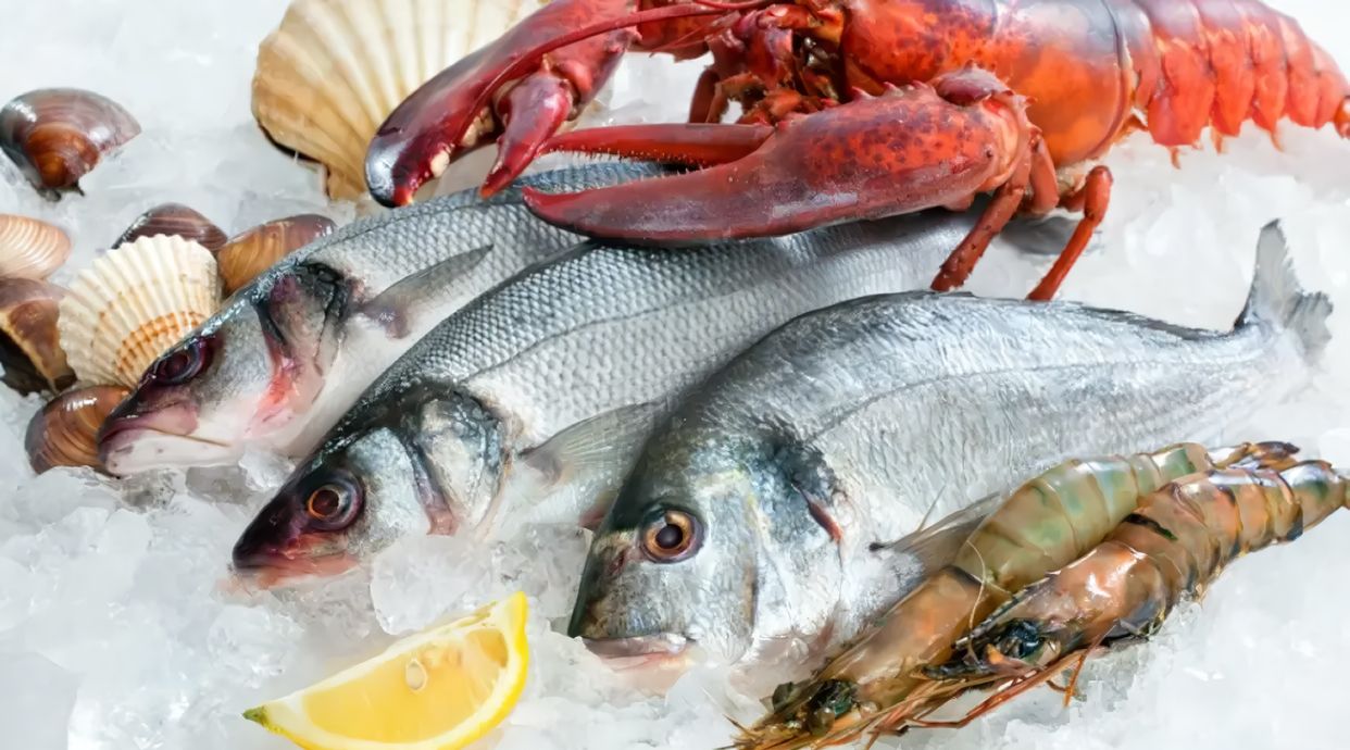 Peixos Frederic
