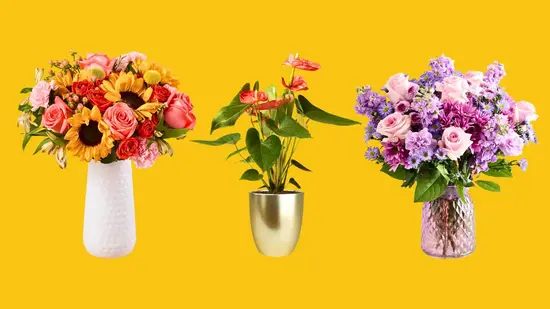 The Nairobi Flower Shop