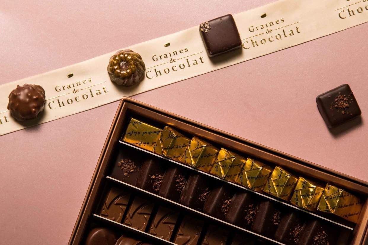 Graines de Chocolat