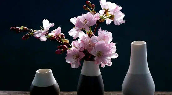 El Raco De Les Flors